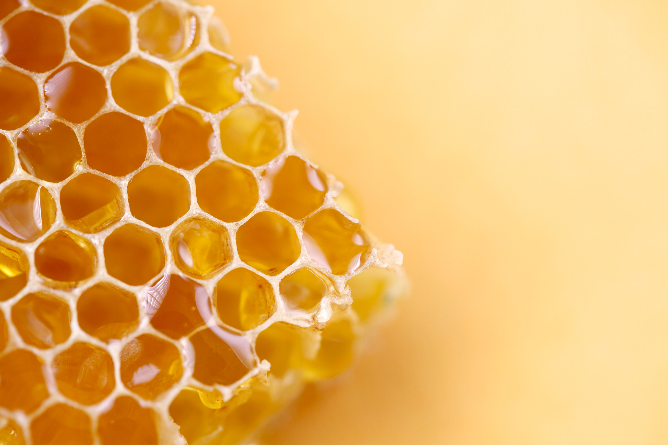 Honeycomb